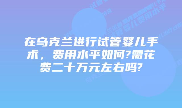 在乌克兰进行试管婴儿手术,费用水平如何?需花费二十万元左右吗?