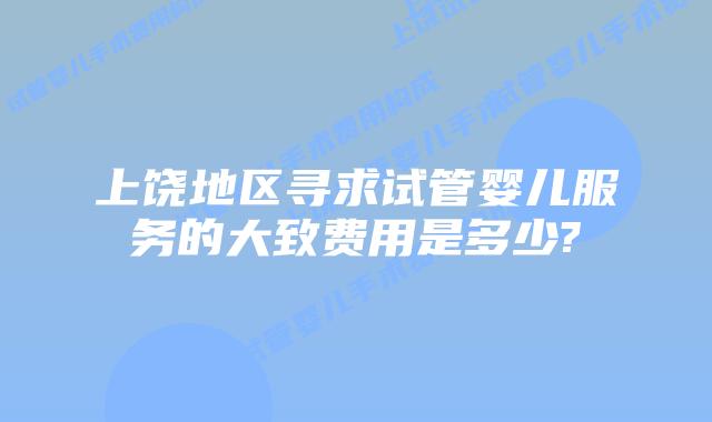 上饶地区寻求试管婴儿服务的大致费用是多少?