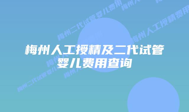梅州人工授精及二代试管婴儿费用查询