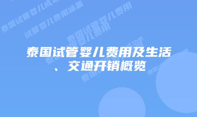 泰国试管婴儿费用及生活、交通开销概览