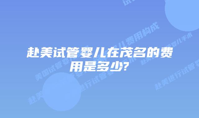 赴美试管婴儿在茂名的费用是多少?