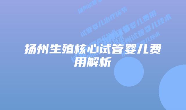 扬州生殖核心试管婴儿费用解析
