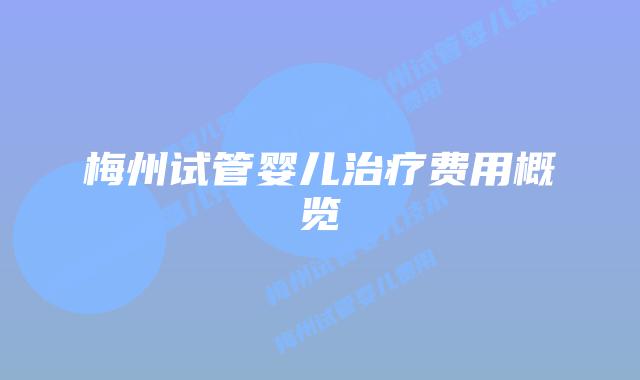 梅州试管婴儿治疗费用概览