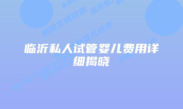 临沂私人试管婴儿费用详细揭晓