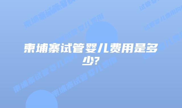 柬埔寨试管婴儿费用是多少?