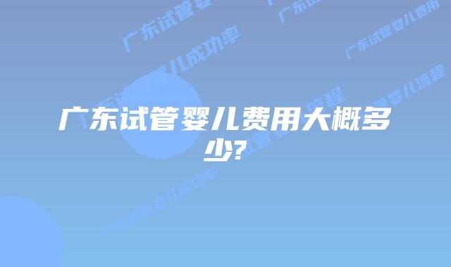 广东试管婴儿费用大概多少?