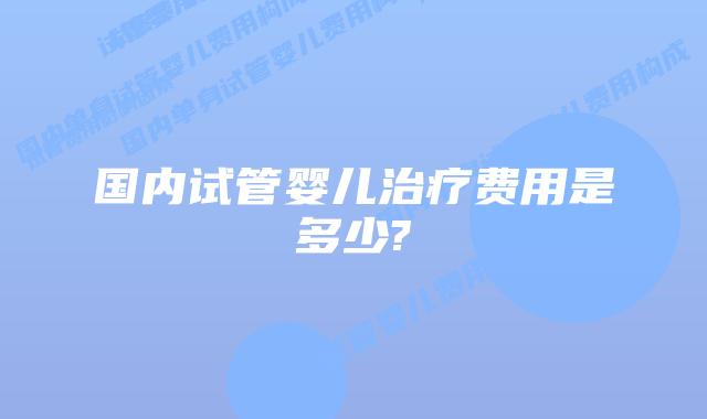 国内试管婴儿治疗费用是多少?