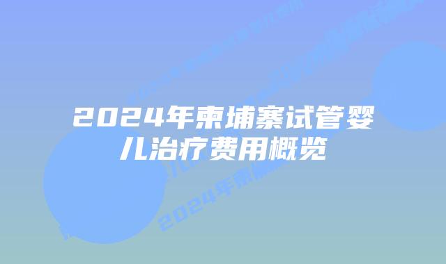2024年柬埔寨试管婴儿治疗费用概览