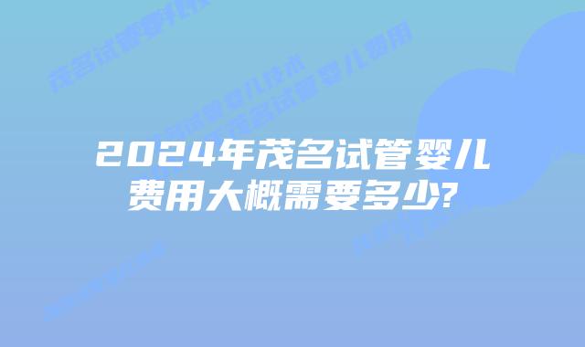 2024年茂名试管婴儿费用大概需要多少?