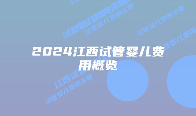 2024江西试管婴儿费用概览