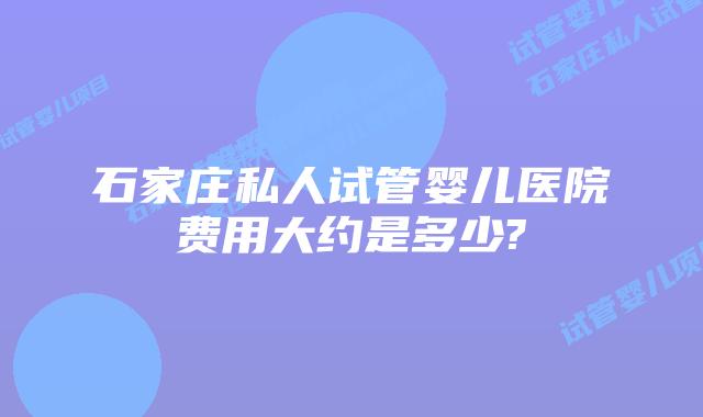 石家庄私人试管婴儿医院费用大约是多少?