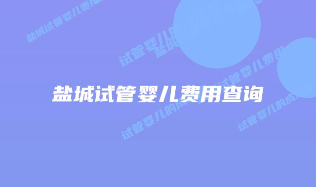 盐城试管婴儿费用查询
