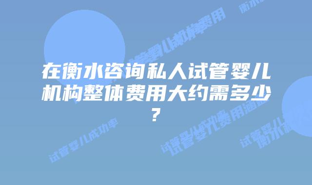 在衡水咨询私人试管婴儿机构整体费用大约需多少?