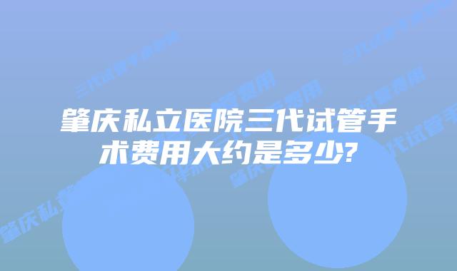肇庆私立医院三代试管手术费用大约是多少?