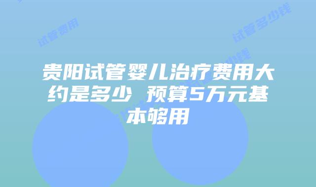 贵阳试管婴儿治疗费用大约是多少 预算5万元基本够用