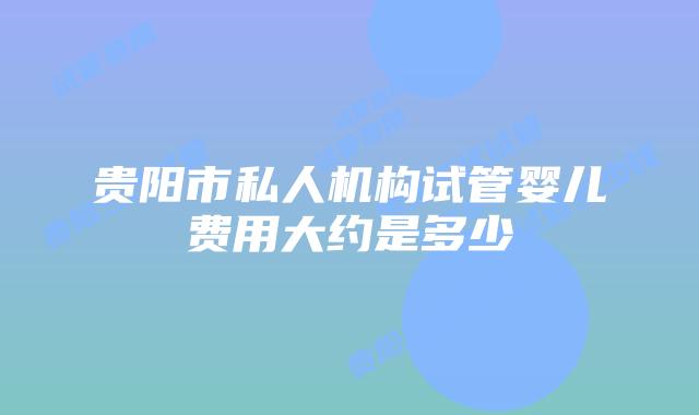 贵阳市私人机构试管婴儿费用大约是多少