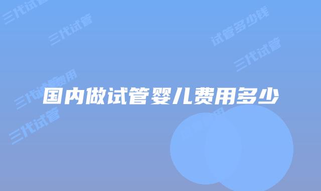 国内做试管婴儿费用多少