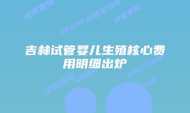 吉林试管婴儿生殖核心费用明细出炉