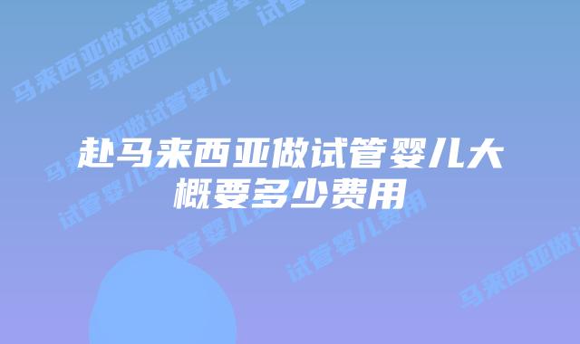 赴马来西亚做试管婴儿大概要多少费用