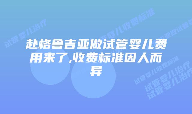 赴格鲁吉亚做试管婴儿费用来了,收费标准因人而异