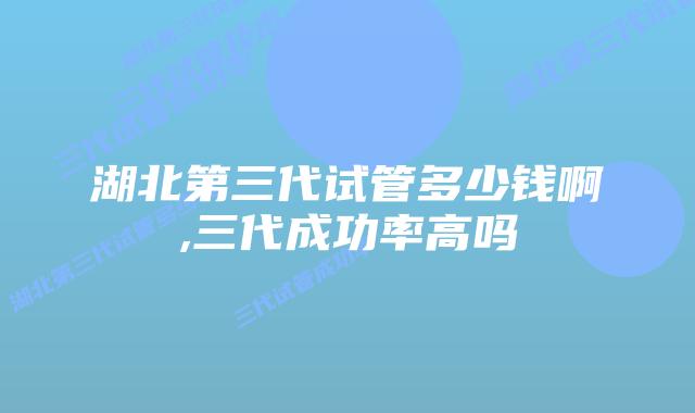 湖北第三代试管多少钱啊,三代成功率高吗