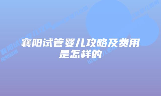 襄阳试管婴儿攻略及费用是怎样的