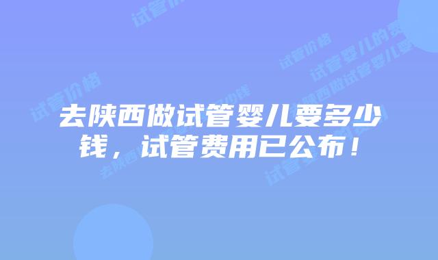 去陕西做试管婴儿要多少钱，试管费用已公布！