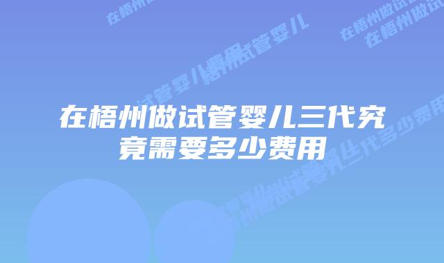 在梧州做试管婴儿三代究竟需要多少费用