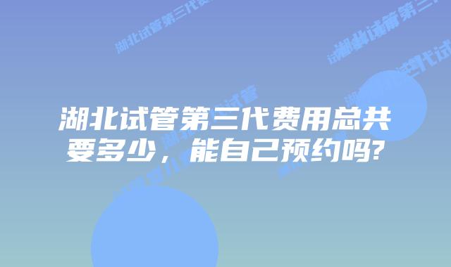 湖北试管第三代费用总共要多少,能自己预约吗?