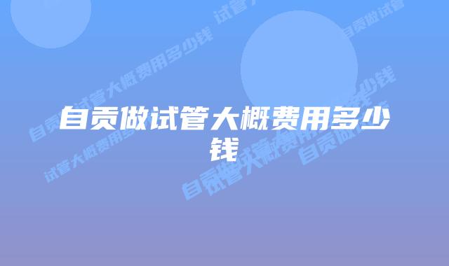 自贡做试管大概费用多少钱