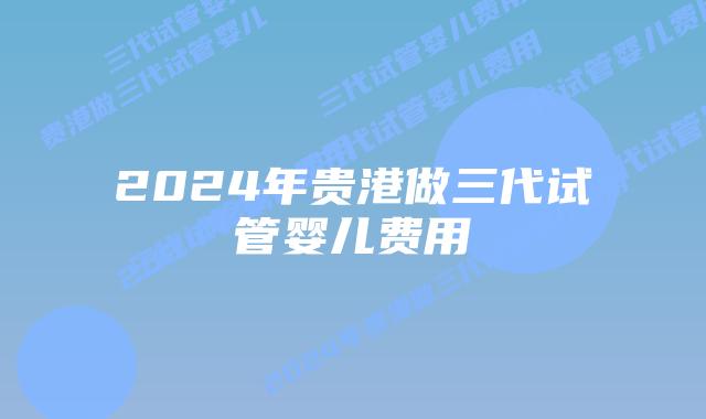 2024年贵港做三代试管婴儿费用