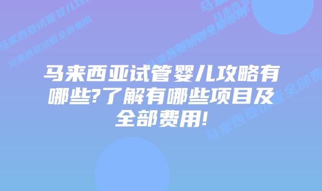 马来西亚试管婴儿攻略有哪些?了解有哪些项目及全部费用!
