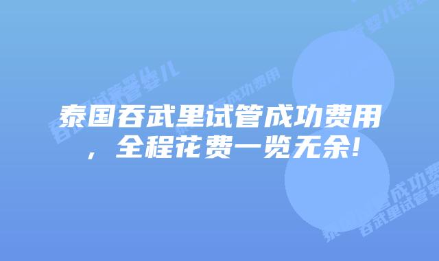 泰国吞武里试管成功费用，全程花费一览无余!