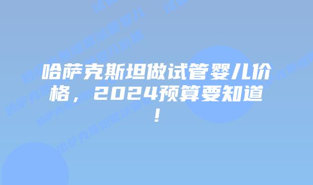 哈萨克斯坦做试管婴儿价格,2024预算要知道!