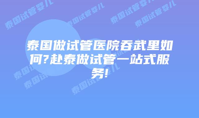 泰国做试管医院吞武里如何?赴泰做试管一站式服务!