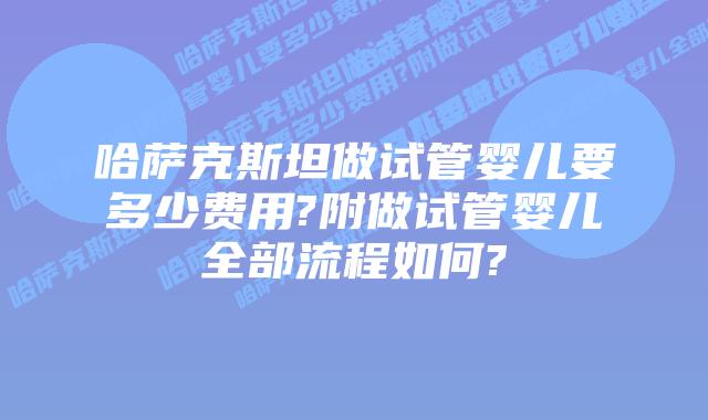 哈萨克斯坦做试管婴儿要多少费用?附做试管婴儿全部流程如何?