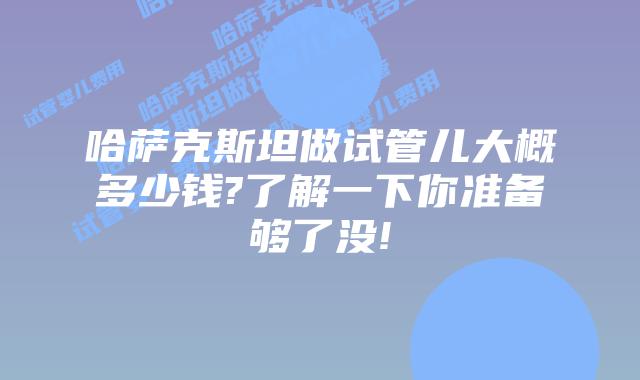 哈萨克斯坦做试管儿大概多少钱?了解一下你准备够了没!