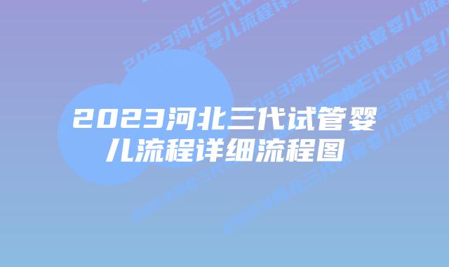 2023河北三代试管婴儿流程详细流程图