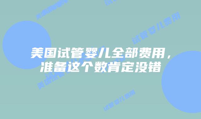 美国试管婴儿全部费用,准备这个数肯定没错