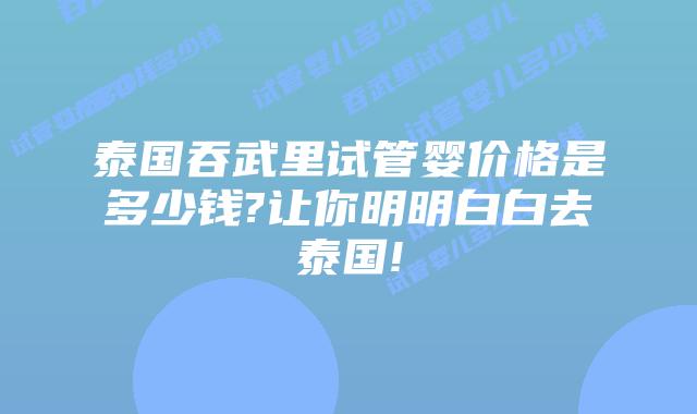 泰国吞武里试管婴价格是多少钱?让你明明白白去泰国!