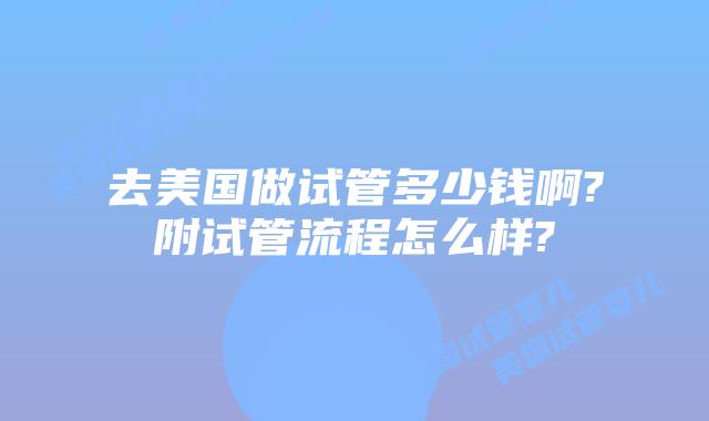 去美国做试管多少钱啊?附试管流程怎么样?