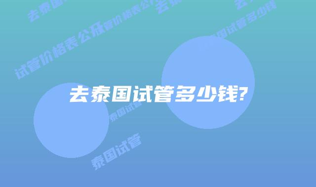 去泰国试管多少钱?