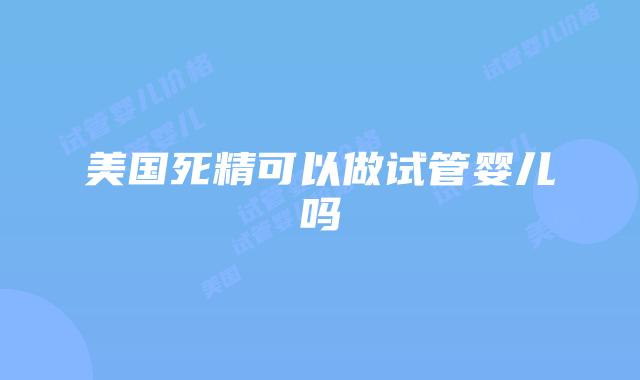 美国死精可以做试管婴儿吗