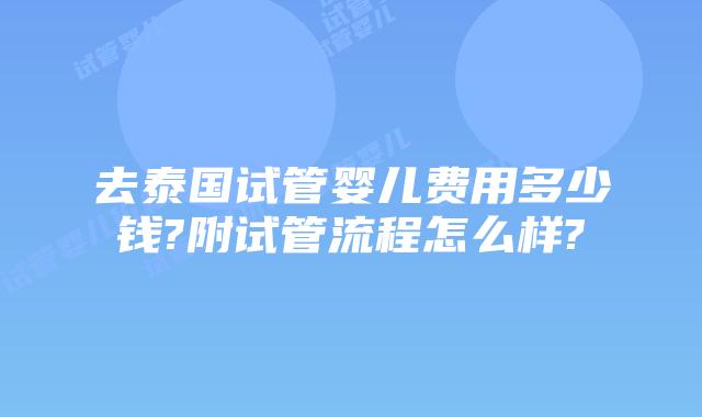 去泰国试管婴儿费用多少钱?附试管流程怎么样?
