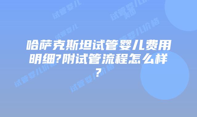 哈萨克斯坦试管婴儿费用明细?附试管流程怎么样?