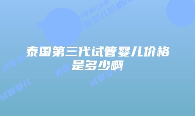 泰国第三代试管婴儿价格是多少啊