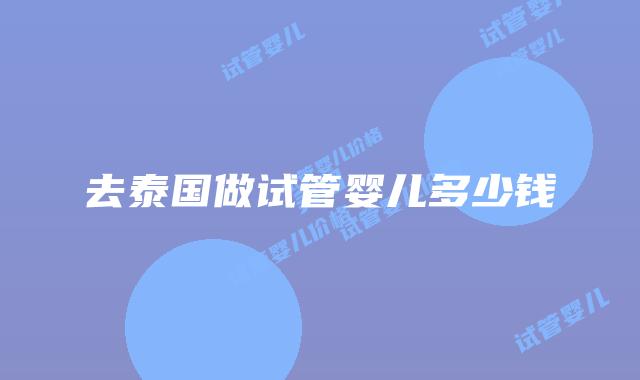 去泰国做试管婴儿多少钱