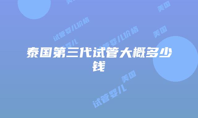 泰国第三代试管大概多少钱