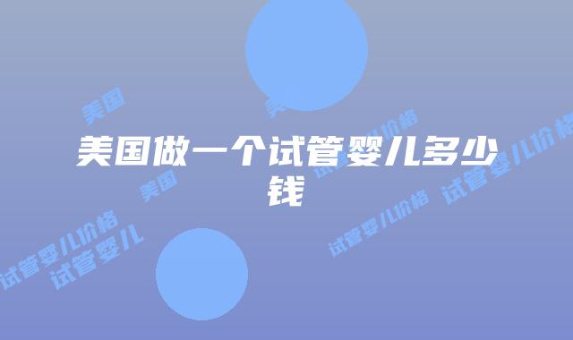 美国做一个试管婴儿多少钱