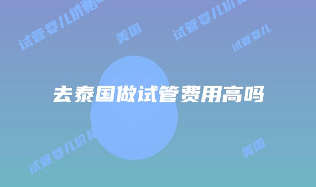 去泰国做试管费用高吗